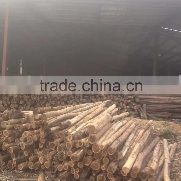VERY CHEAP CORE VENEER VIETNAMMESE TROPICAL HARDWOOD FOR MAKING PLYWOOD photo-5