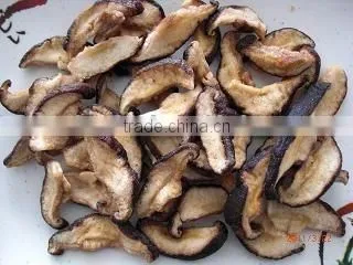 Vacuum Fried Shiitake Chips photo-4