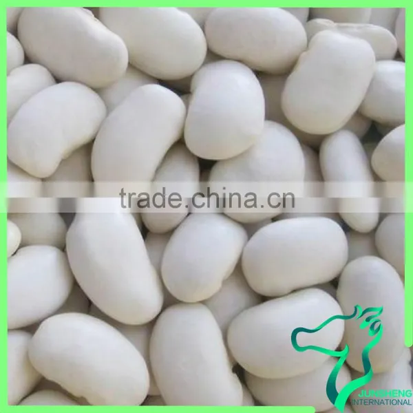 Large White Kidney Beans 2016 Crop High Quality Large Type White Kidney Beans photo-2