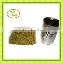 400g Canned Fava Beans Manufacturer in China photo-3