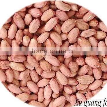 Peanut Seed for Sale