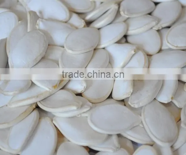 Heilongjiang Good Quality of Raw Snow Pumpkin Seed Factory Sale to Iran Market photo-6