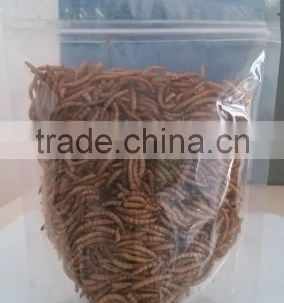 Protein Dried Insects photo-5