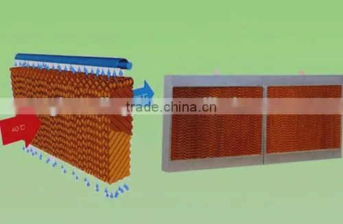 Cooling System for Livestock Husbandry