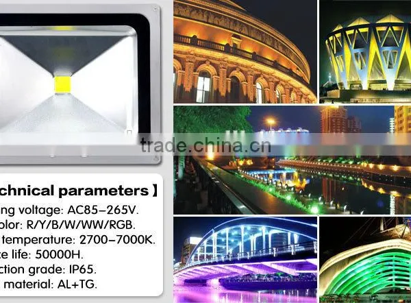 Indoor Outdoor Lighting Led Flood Light With Meanwell Driver photo-6