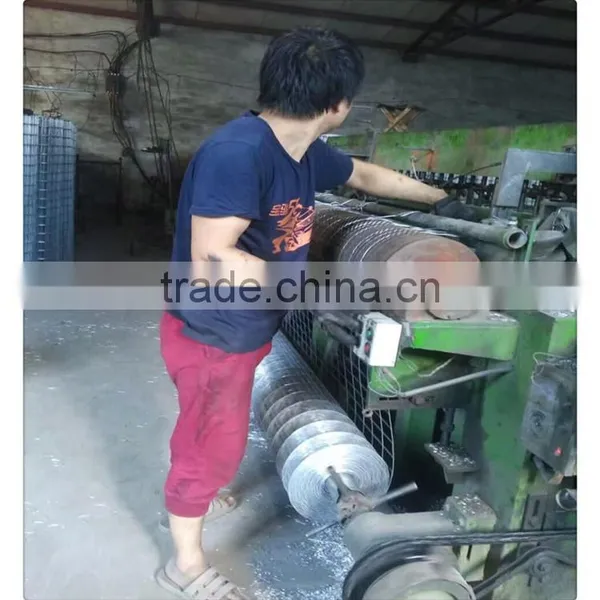 1*30m 1 Inch Galvanized Welded Wire Mesh / Galvasnized Wire Cloth photo-2