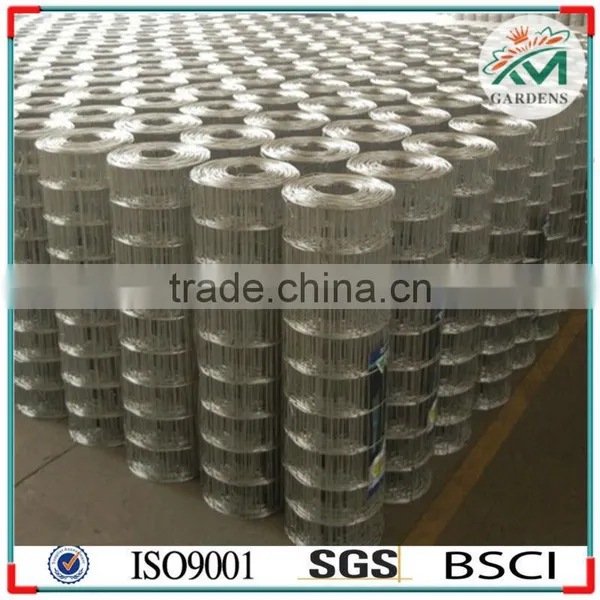Galvanized Welded Wire Mesh Cheap photo-5