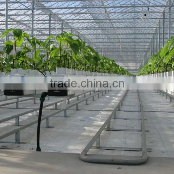 Hydroponics Greenhouse Multi Span Poly Film/PC Sheet photo-3
