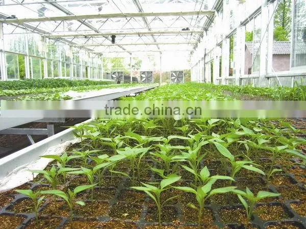 New Products Hotsale Rice Starting Seed Trays photo-2