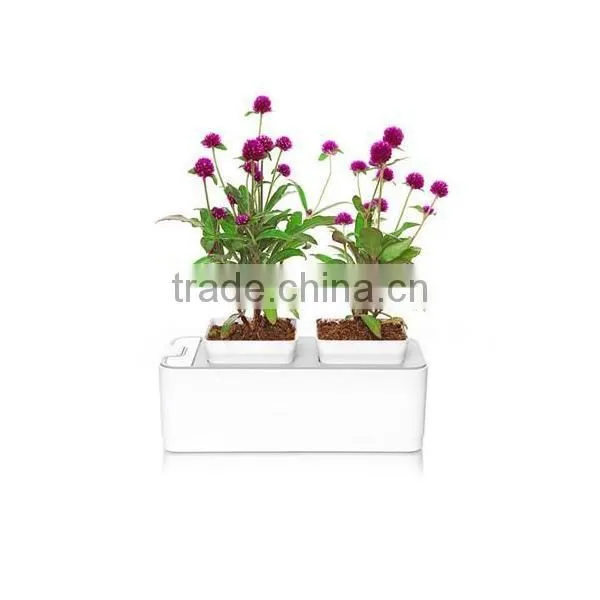2014 Newest Office Decoration Mini Smart Garden photo-2