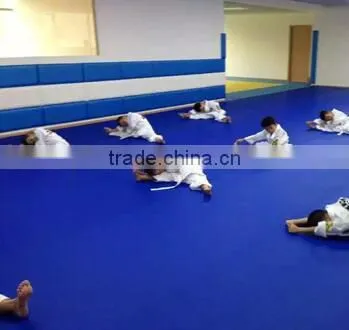 Competition Grade Good Quality Cheap Roll up Tatami Judo Mats Any Size photo-2
