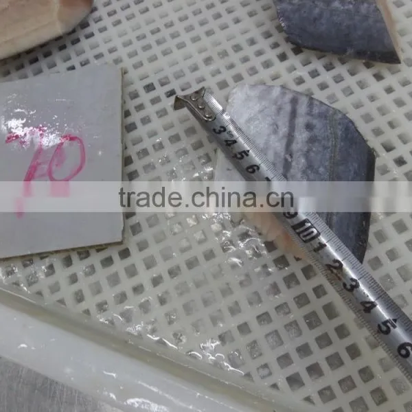 Frozen Spanish Mackerel Steaks photo-2
