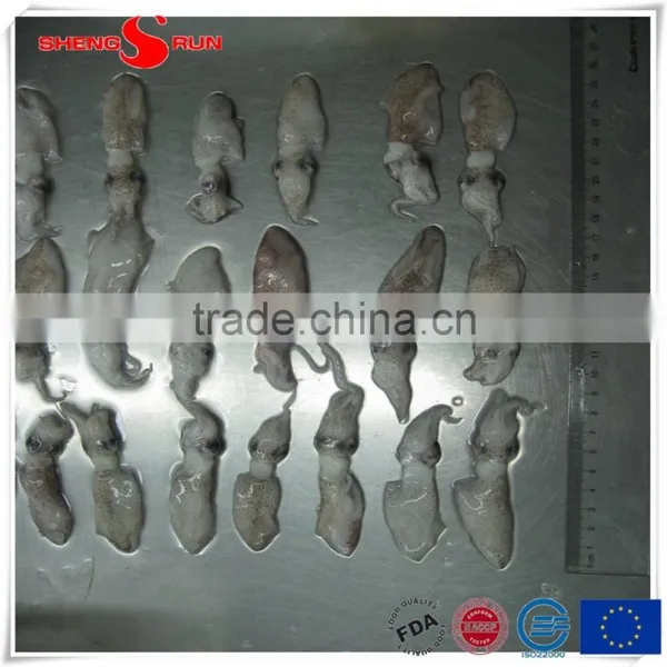 Frozen IQF North China Baby Squid photo-3
