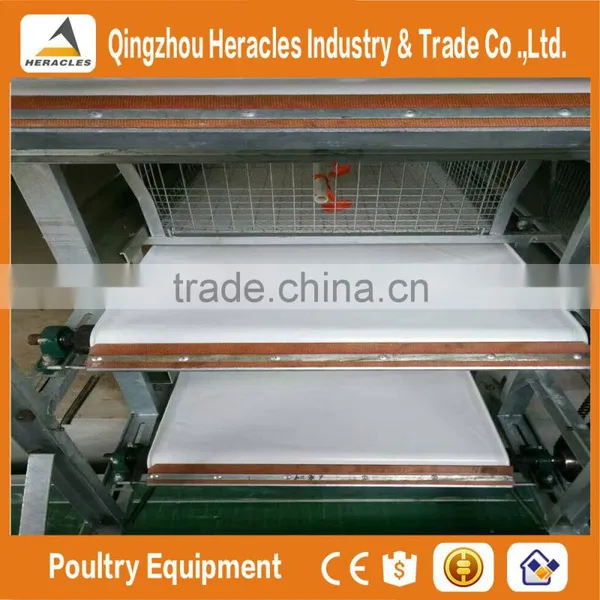 China Trade Assurance Chicken Bird Cage for Sale photo-6