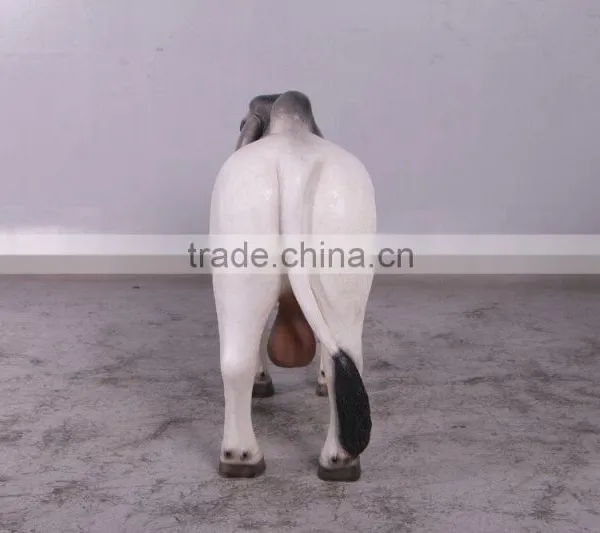 Definitive Brahman Looking Left photo-4
