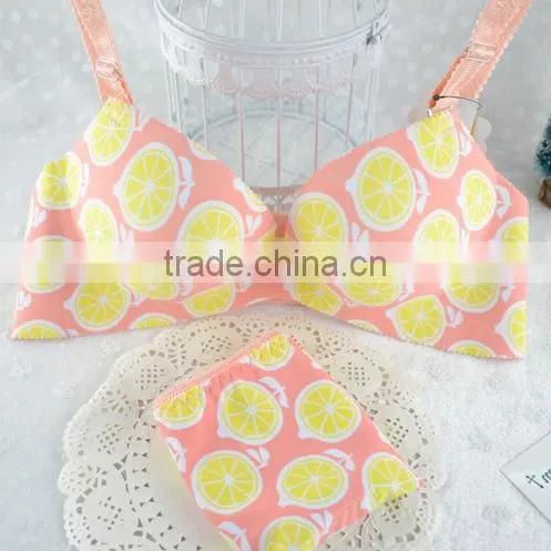 Women Seamless Panties and Bra Hot Anty Factory in China photo-2