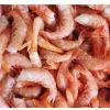 Shrimp