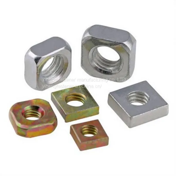 Square Nut，The Nut photo-5