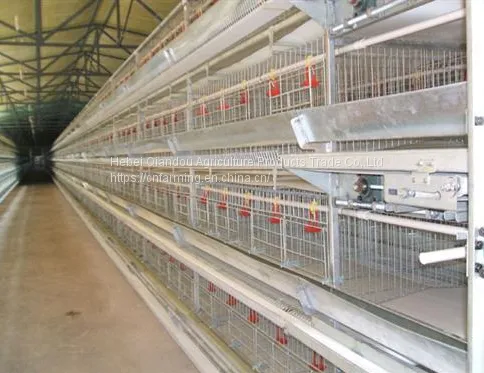 Breeding Cages