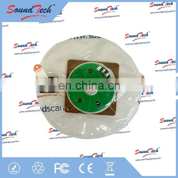 ICTI Certrification Supplier Water Proof Music Chip photo-2