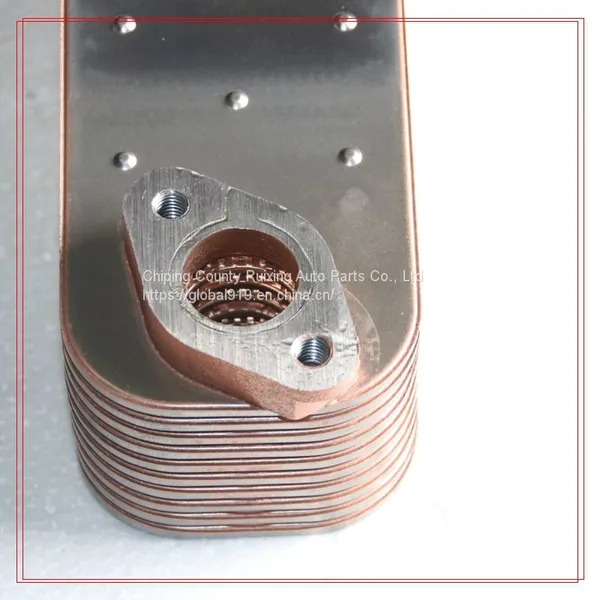 Oil Cooler 51056010161 51056010179 51056010148 51056010107 5000678882 for Man photo-4