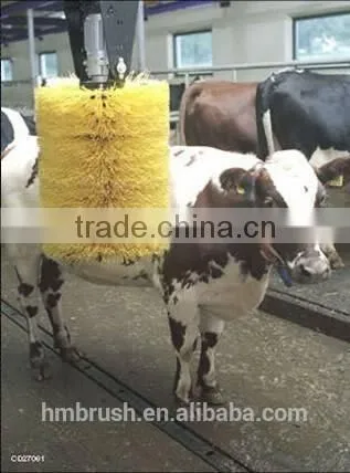 High Quality Customizd PP Material Cow Body Brush photo-3