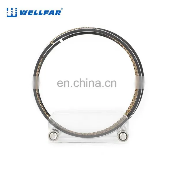 Wellfar Auto Parts Steel Ring Piston 96mm for Chevrolet Trail Blazer Yukon Silverado 2500,3500 Escalade Car photo-4