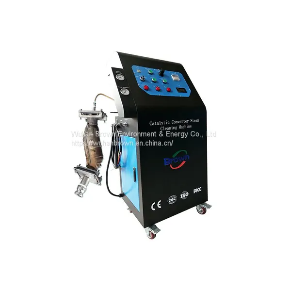 Catalytic Converter Carbon Clean Machine DPF Filter Steam Cleaner Machine System