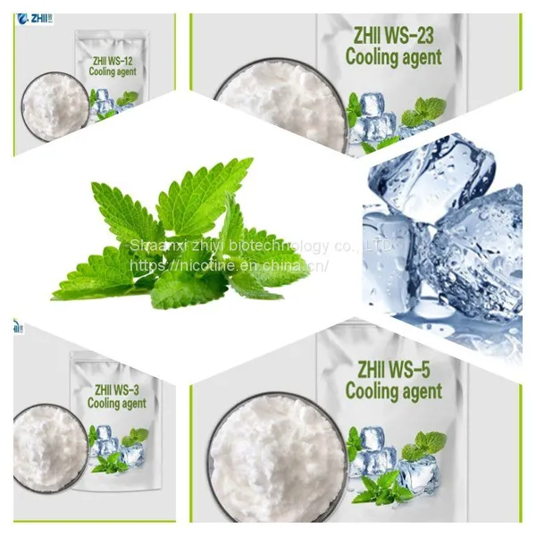 Zhii Cooling Agent Ws-23 Ws-3 Ws-5 Fine Powder With Good Price photo-4
