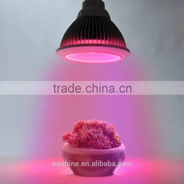 High-Tech Place 24v E27 COB LED Grow Light 21 Watts 50,000+ Hours Lifetime, Red And Blue Color Bands photo-6