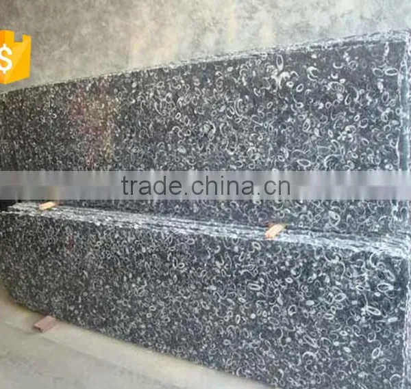Cheaper Superior Supply Black Fossil Marble Decorative Wall Tile photo-3