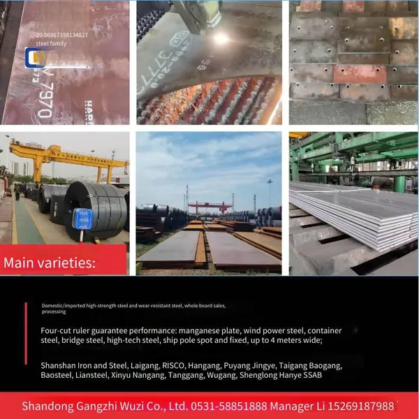 new national standard, steel plates from shandong steel, laiwu steel, handan steel, puyang steel, and wugang for pressure vessels, cut to size, hot-rolled coils, normalized, first-level flaw detection