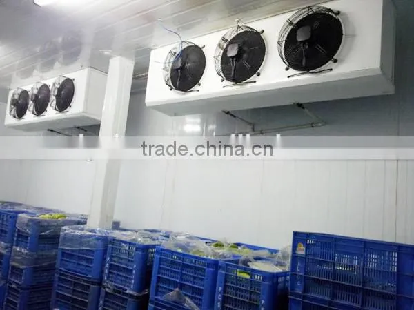 Industrial Evaporator for Quick-freezing Cold Room photo-5