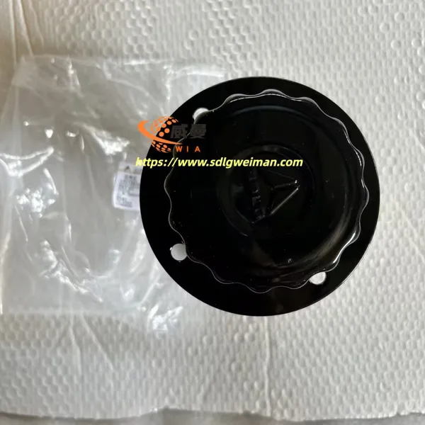 ORIGINAL SDLG FILTER INSERT 4120000452 APPLY FOR SDLG MOTOR GRADER G9180 G9190 G9200 photo-4