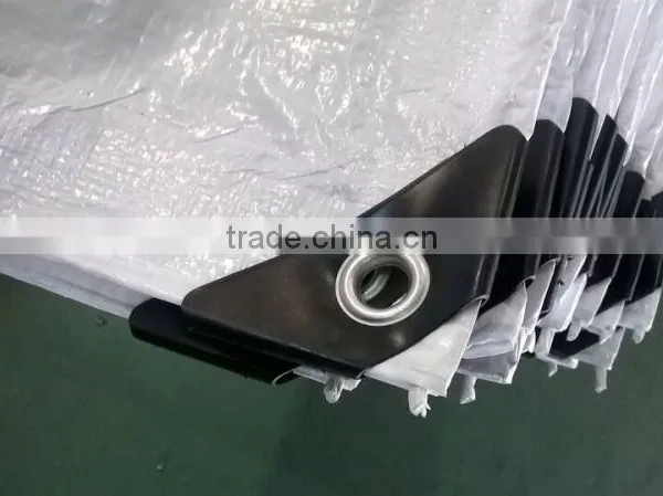 Canvas Fabric pe Tarpaulin Sheet photo-3