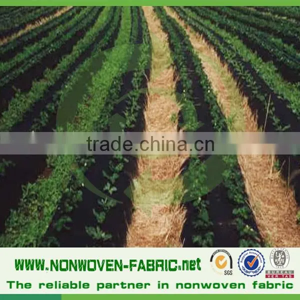 Agriculture Use Biodegradable 100% PP Spunbond Nonwoven Fabric/Landscape Fabric photo-4