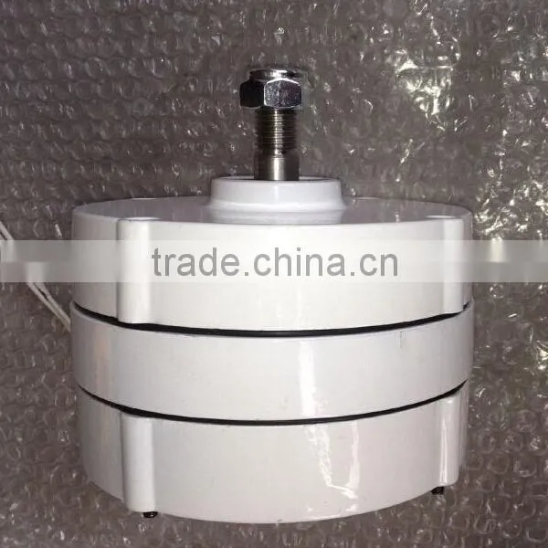 Low Rpm 300w 12v/24v dc Generator PMG photo-2