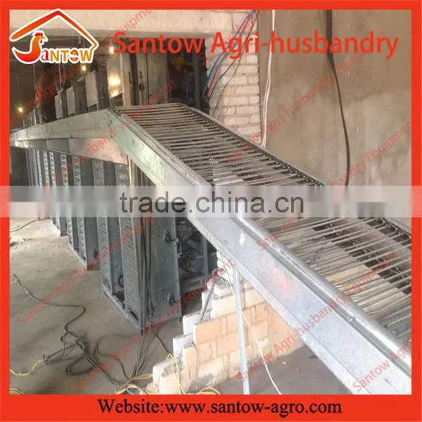 How to Build Stable Steel Structure Battery Cages for Chickens photo-3