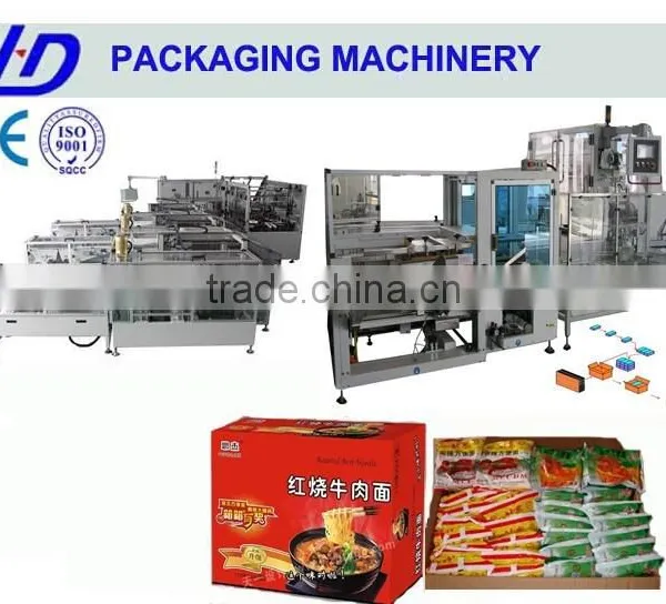 Automatic Case Packing Machine (ZXA15)