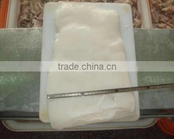 Giant Squid Fillet photo-4
