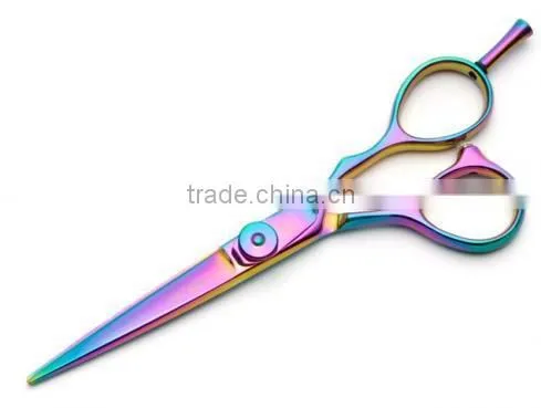 Japanese Stainless Steel Professional Hair Scissors