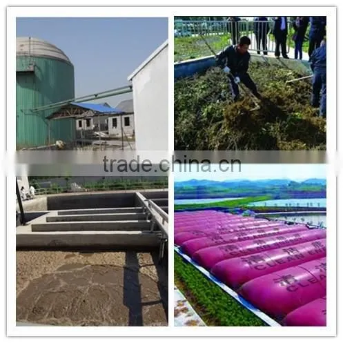 China Biogas Plant