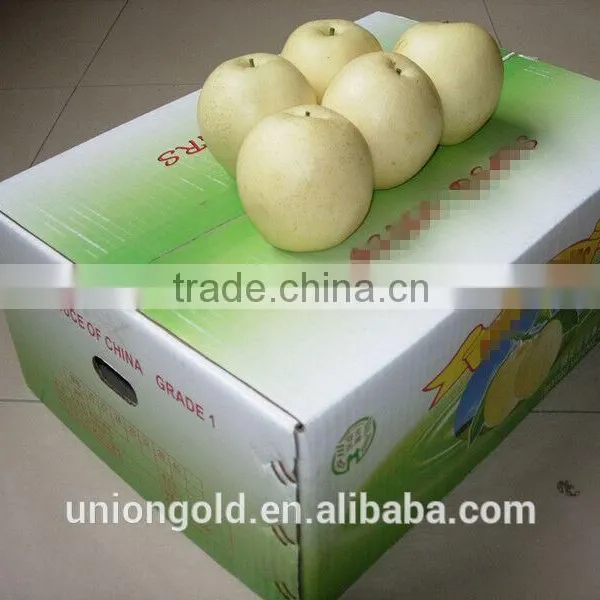 Light Yellow Fresh ya Pear Bulk Purchase photo-2