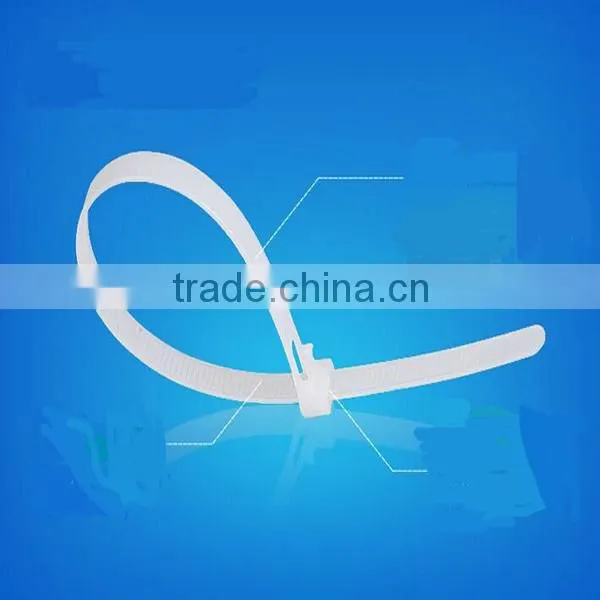 High Quality Full Size & Color Nylon 66 CE Approval Releasable Cable Tie photo-3