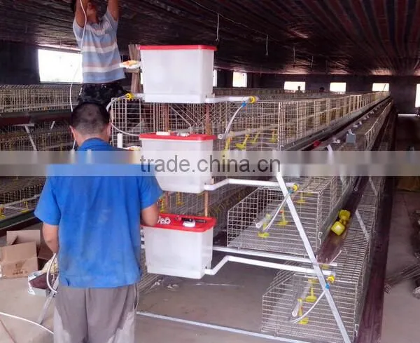 Anping Factory Chicken Egg Laying Cage for Farm photo-5