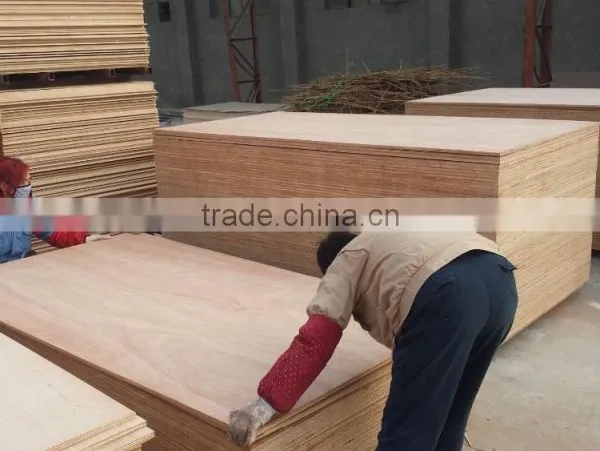 Shandong Multi Wood Sheets With Best Quality photo-2