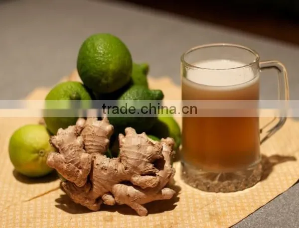 VIETNAM OLD FRESH GINGER SUPPLIER COMPETITIVE PRICE photo-5