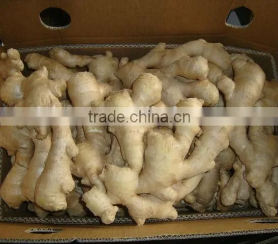 Chinese Wholesale Air Dry Ginger Market Prices for Ginger photo-3