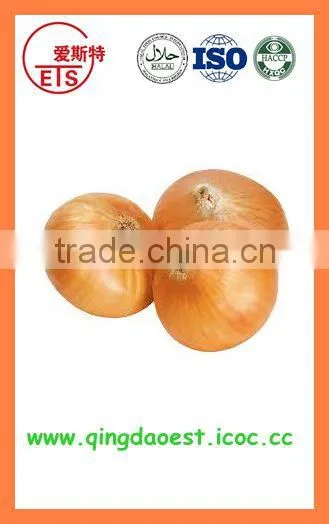 Fresh New Crop Yellow Onion PRODUCTS From China photo-4