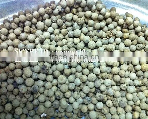 HIGH QUALITY WHITE PEPPER FROM VIETNAM WITH BEST PRICE photo-4